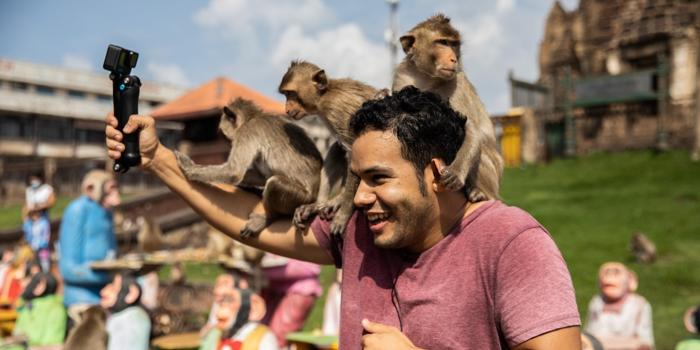 Gestione dei Macachi di Lopburi: Nuovo Piano di Conservazione