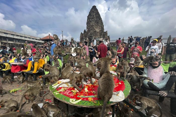 Macachi mangiano frutta durante la festa delle scimmie a Lopburi Thailandia, 27 novembre 2022 (AP Photo/ Chalida EKvitthayavechnukul, File)