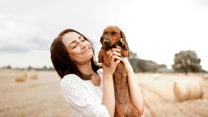 Tutto quello che devi sapere sugli incroci di cani