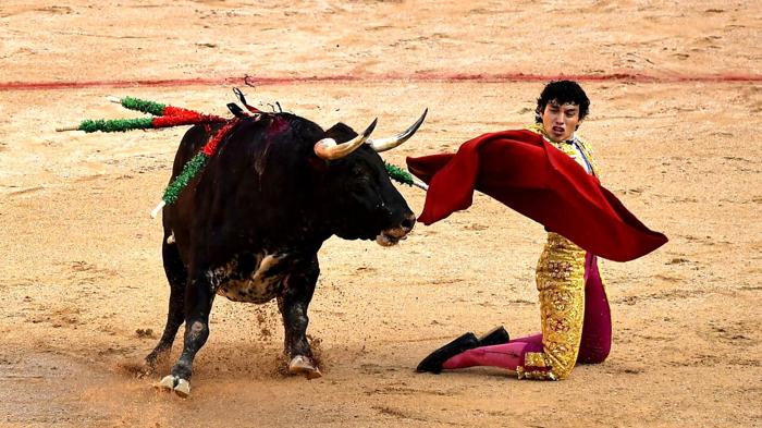 Corrida gratuita per bambini a Siviglia: tradizione o crudeltà?