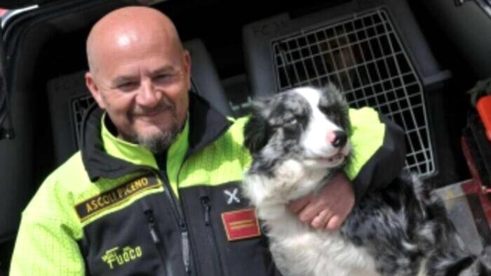 Addio a Galassia, il cane eroe dei vigili del fuoco delle Marche