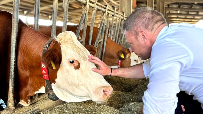 Il ministro dell’Agricoltura e la curiosa proposta per il benessere animale