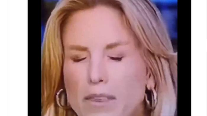 La giornalista Vanessa Welch disturbata da una mosca durante la diretta televisiva