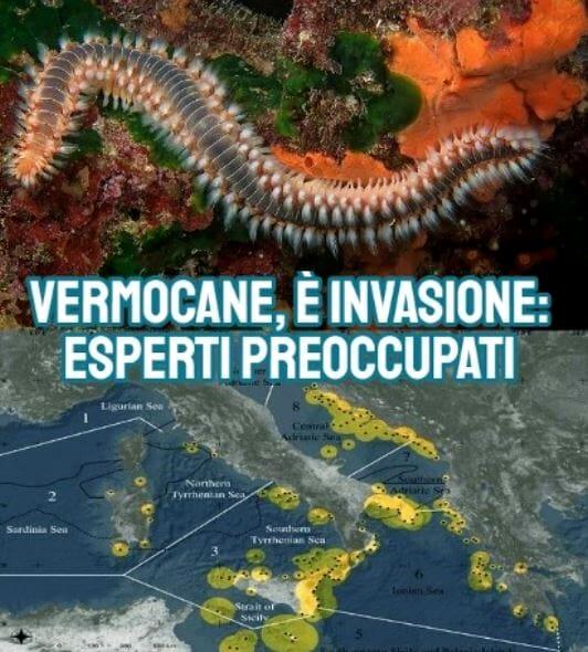 Vermocane - Centro meteo italiano