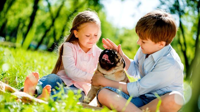 Benefici dell’interazione con animali domestici per i bambini