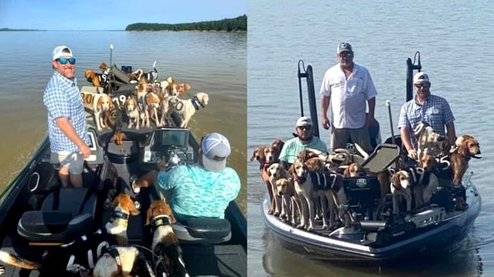 Pescatori eroi salvano 38 cani da annegamento