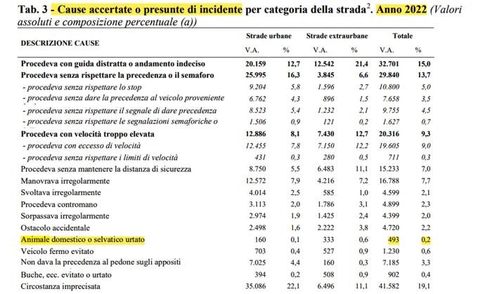 Cause incidenti stradali 2022 - dati Istat