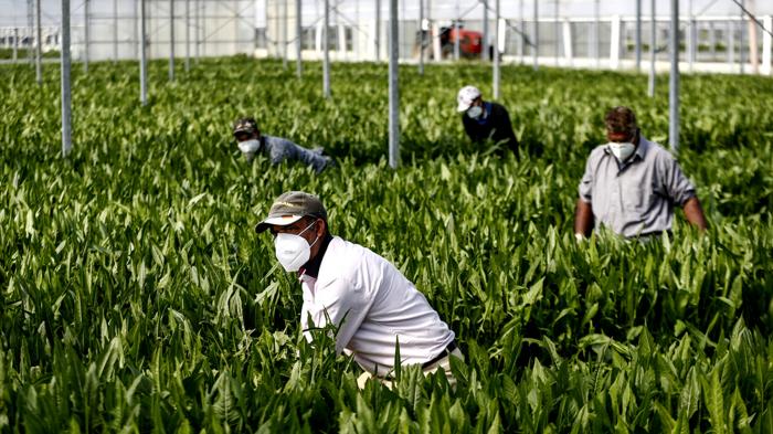 Divieto attività lavorative all’aperto in Calabria per il caldo estivo