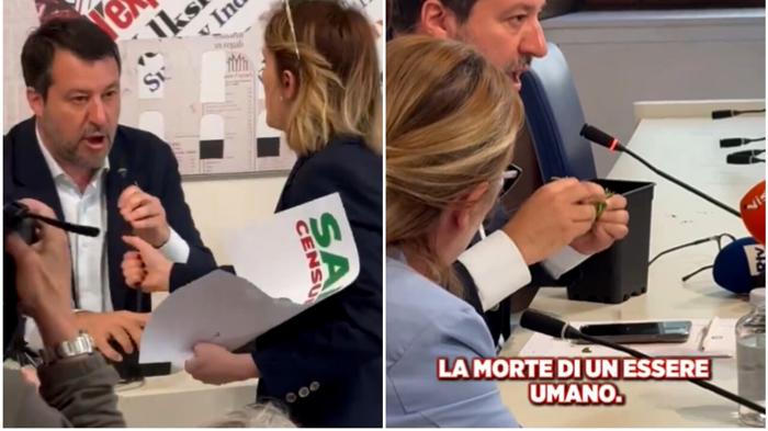 Blitz con piantina di cannabis: Salvini vs Soldo sulla legalizzazione delle droghe