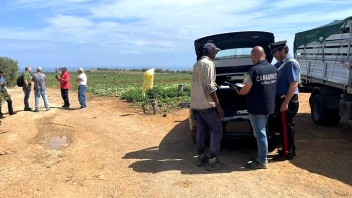 Tragedia sul lavoro in Calabria: morto bracciante agricolo durante ondata di caldo