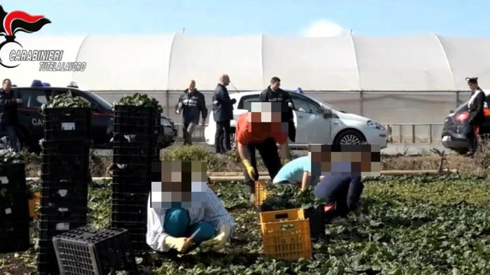 Sfruttamento e caporalato nel settore agricolo: un caso di cronaca sconvolgente