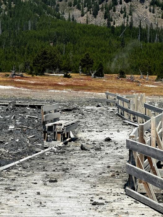 effetti eruzione idrotermale nello Yellowstone (2)