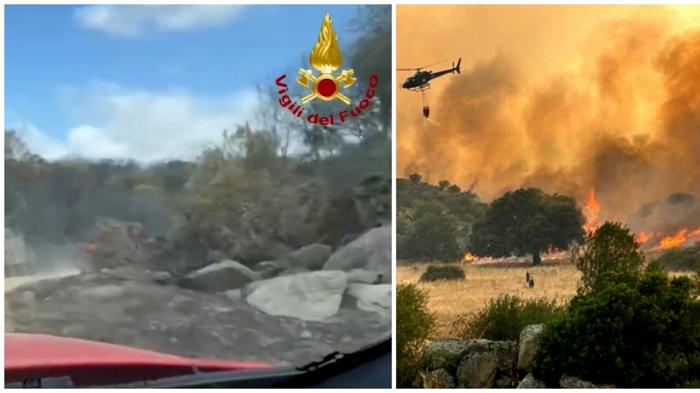 Incendi boschivi: emergenza e devastazione