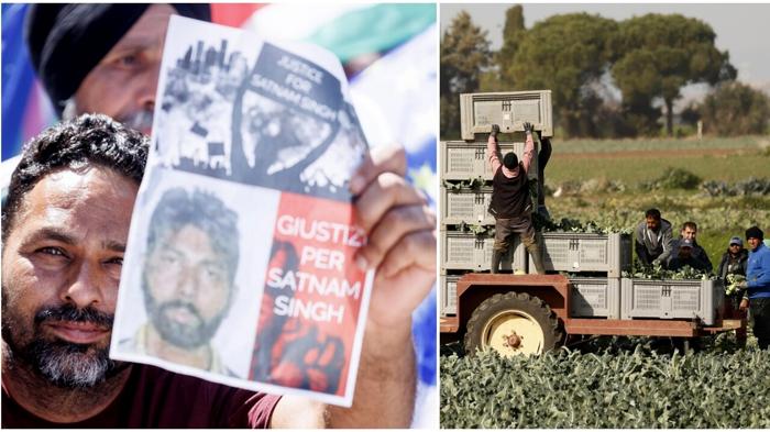 Operazione Inps e Carabinieri contro il lavoro sommerso nel settore agricolo