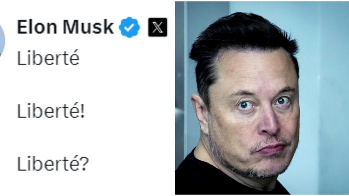 Elon Musk e la battaglia per la libertà di espressione sui social media