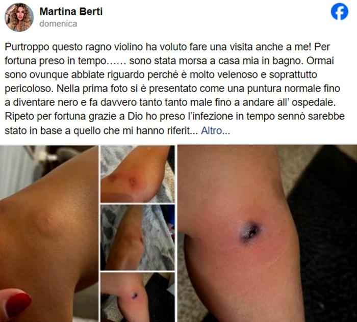 martina berti racconto morso ragno violino