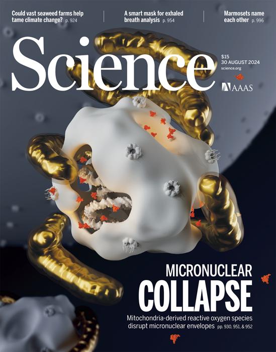 Studio italiano sui tumori su copertina Science - Science