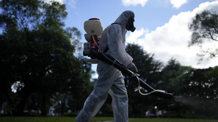 Focolaio di Dengue a Fano: situazione e preoccupazioni